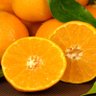 Profilbild von 今岡徳人🍊