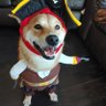 Southrye - (₳)'s profile picture