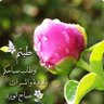 Фото профиля المراقب