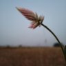 Фото профиля Sameer Sahu