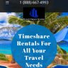 Resort Owner Service 的头像