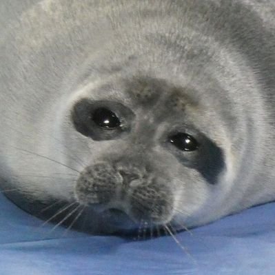 週イチ水族館's profile picture