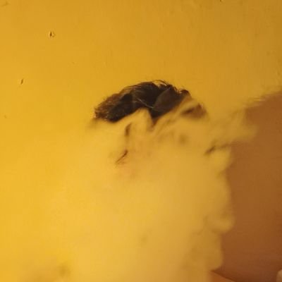 Longshudada's profile picture