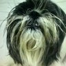 Alfonso's profile picture
