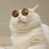 ✿ gorn's profile picture