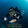 Фото профиля فيصل فلمبان