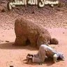 Фото профиля Ahmed Ramadan