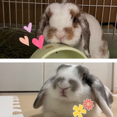s_usachika's profile picture