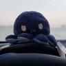 GnoeBahdee's profile picture