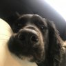 Profilbild von AXI11A