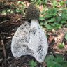 カワウ躁鬱 的头像