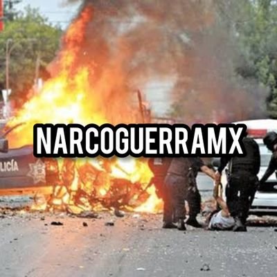 narcoguerramx's profile picture
