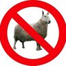 @NotASheep99's profile picture