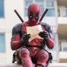 Tedpool profil fotoğrafı