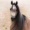 Profilbild von qy