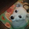 そら🥰's profile picture