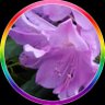 Lilliebelle☮️🕊🥳🎃👹👻🧌's profile picture