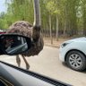 Фото профиля 西瑞