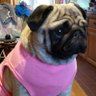 Hettie 的头像