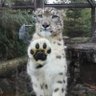 アリクサンダー神保 的头像