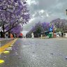 albarqi ابو راكان profil fotoğrafı