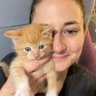 Фото профиля Amateur Kitten Mom @CatSec on bsky