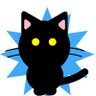 ハクト@WEBエンジニア profil fotoğrafı