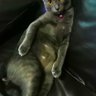 Aladin boy's profile picture