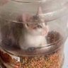 Profilbild von Ace