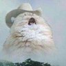 Jojo's profile picture
