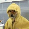 tonser | nate sib fan profil fotoğrafı