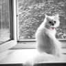 казковий персонаж profil fotoğrafı