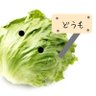 れたす 的头像