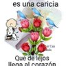 El mar caribe.'s profile picture