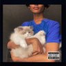 Mode's profile picture