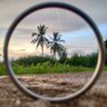 Dk...🇮🇳 的头像
