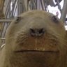 Waddup_m8's profile picture