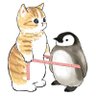 Profilbild von penguinchuang