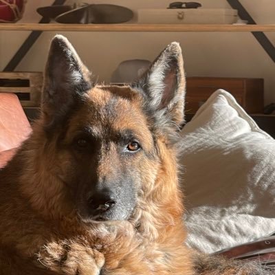 PhenomenalPoto's profile picture