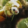 Knuffel's profile picture
