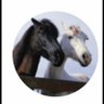 دواس profil fotoğrafı