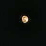 C'est la vie!'s profile picture