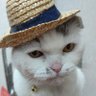 Profilbild von みみぷぷ