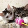 ゆみっち profil fotoğrafı