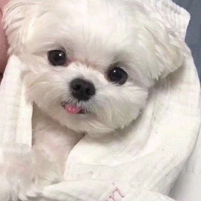 eyOkULjGWxc3rWE's profile picture