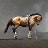 Kudatroya profil fotoğrafı
