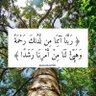 رقية عبد الكريم's profile picture
