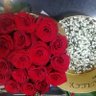 alaa _.alhamwy's profile picture