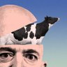 Beef Jezos's profile picture