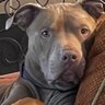 Rainey B🇺🇸 profil fotoğrafı